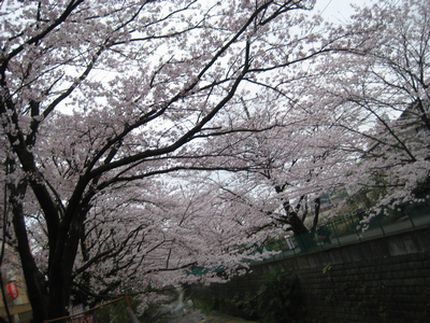 f0201297_2215543.jpg