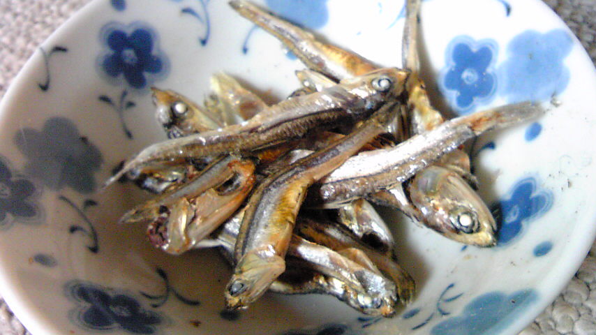 f0058098_121106.jpg