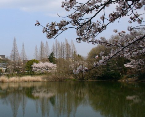 a0031000_1319591.jpg