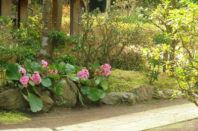 c0153302_23575024.jpg