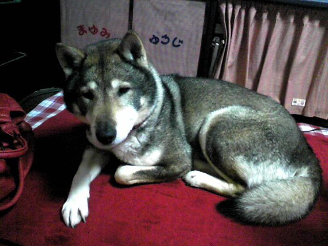 f0079202_17323238.jpg