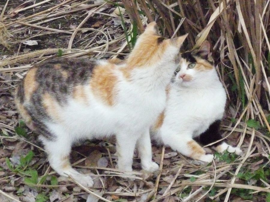c0187503_23322750.jpg
