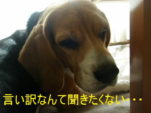 c0205806_18442670.jpg