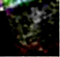 e0103408_14262752.gif