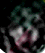e0103408_14271766.gif