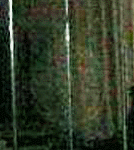 e0103408_14304933.gif