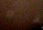 e0103408_14323684.gif