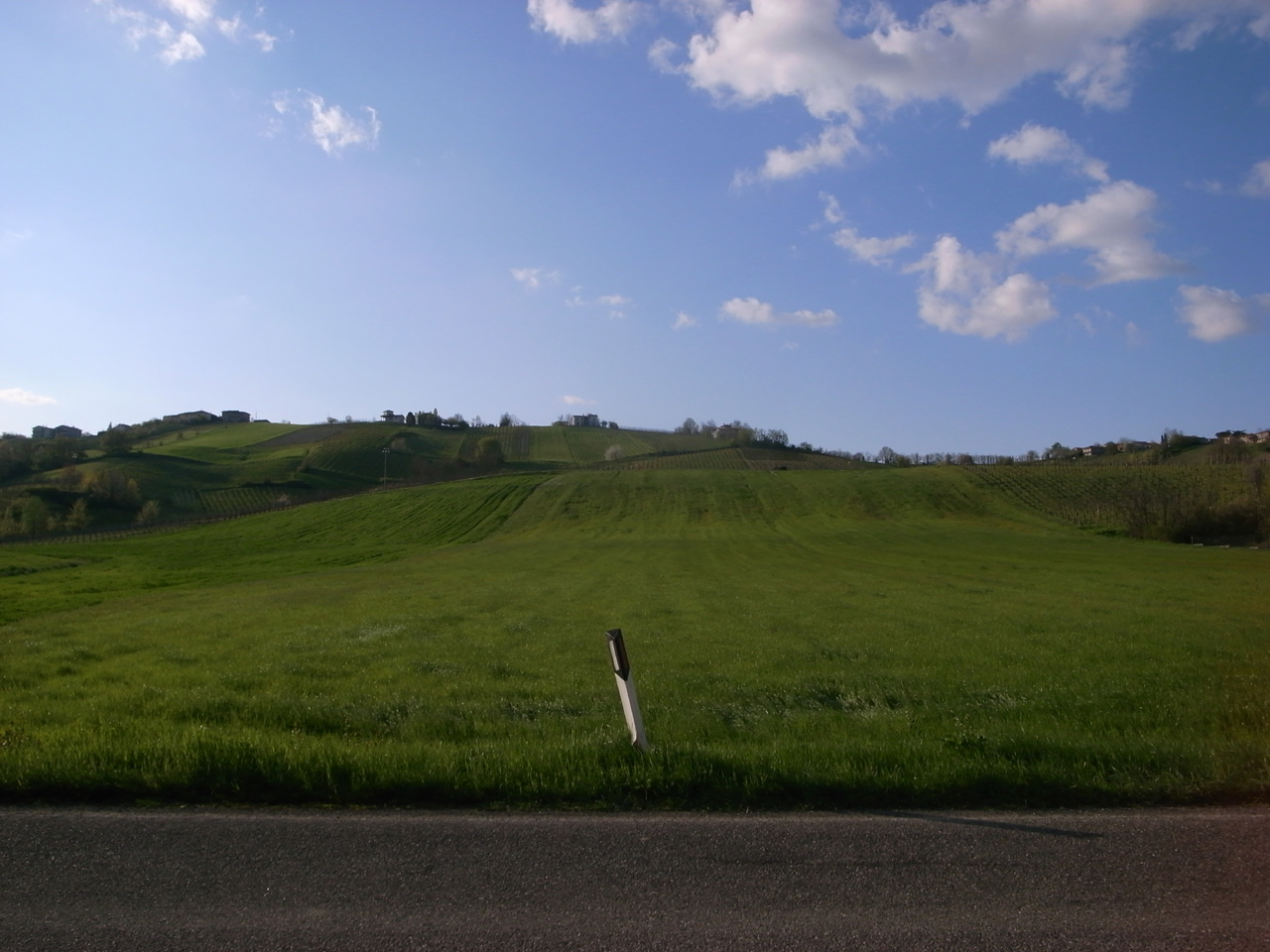 d0104210_650970.jpg