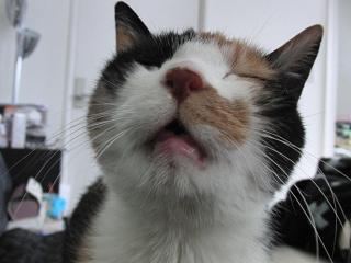 c0201113_23263497.jpg