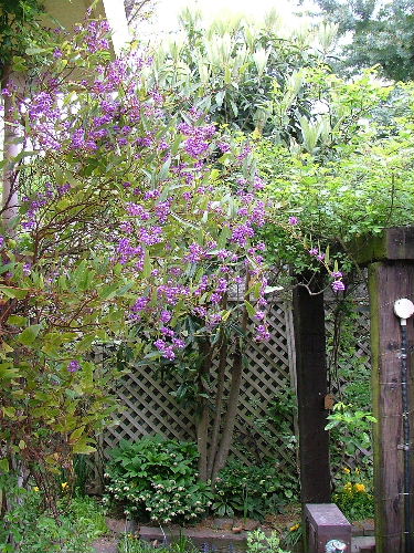 c0212214_10185134.jpg