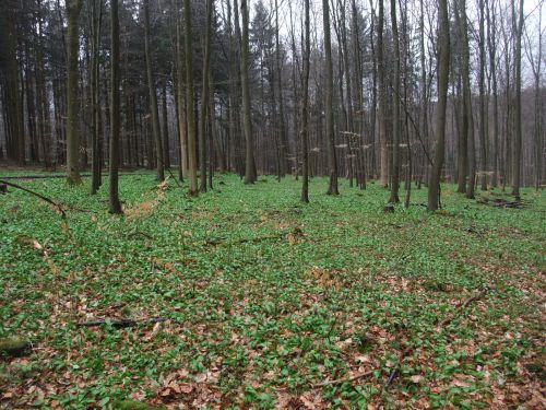 e0116315_045796.jpg