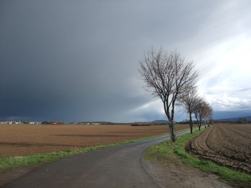e0116315_134541.jpg