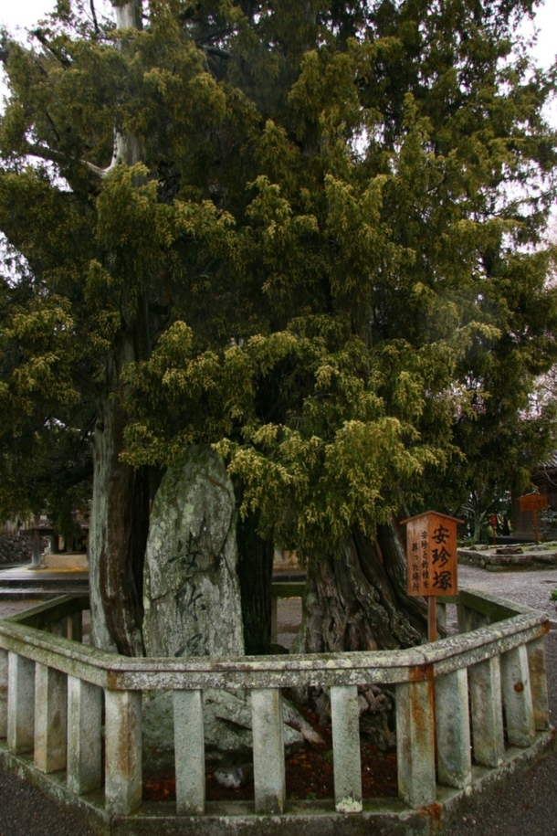 f0064415_20453657.jpg