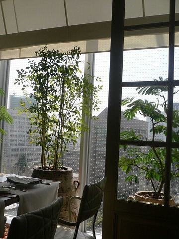 f0117618_0155211.jpg