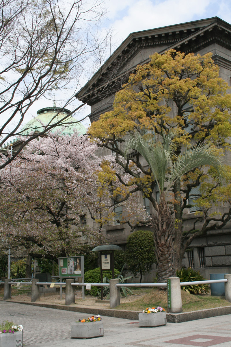 c0073633_10473153.jpg