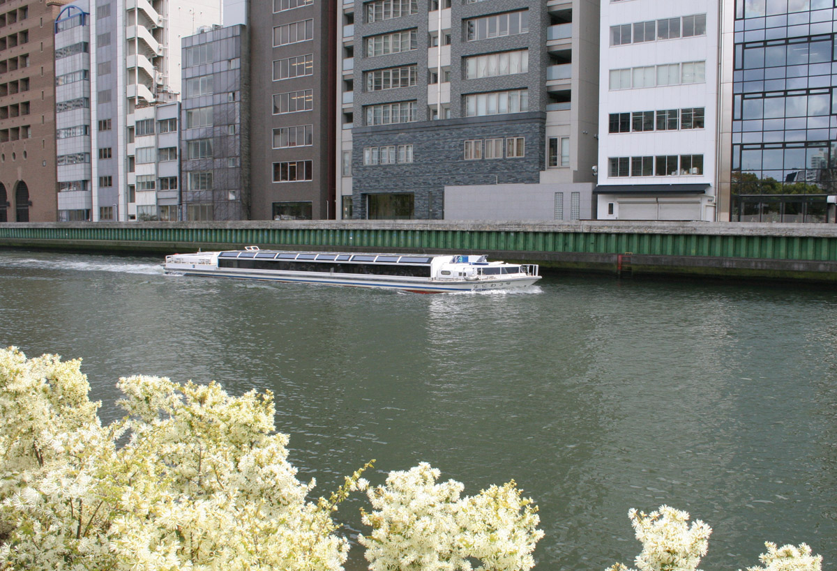 c0073633_10475360.jpg