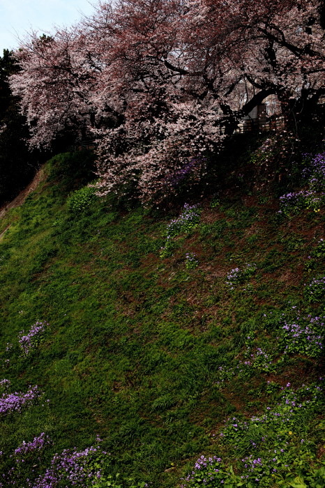 c0189533_1455115.jpg