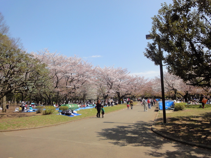a0051443_143142.jpg