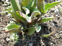 c0153444_1192467.jpg