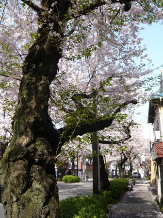 f0192348_15175040.jpg