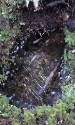 f0198950_21202075.jpg