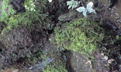 f0198950_21202735.jpg