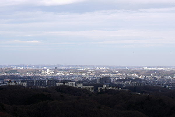 d0091754_2075272.jpg
