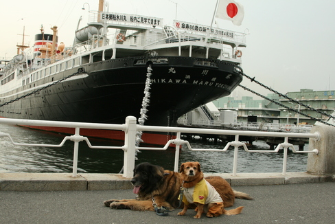 f0171559_2224823.jpg