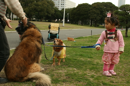 f0171559_22283947.jpg