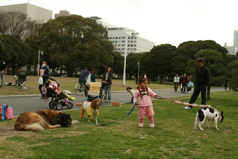 f0171559_22413822.jpg