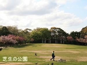 d0054461_20423153.jpg