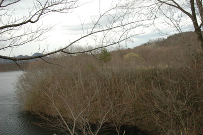 c0050264_11503724.jpg