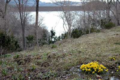 c0050264_128494.jpg