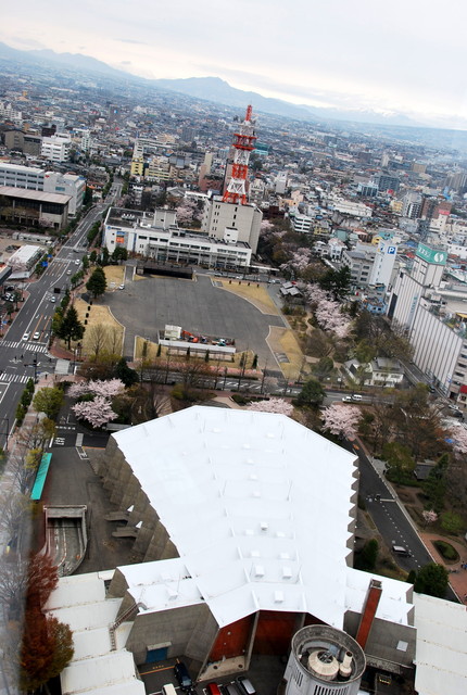 b0174068_1324397.jpg