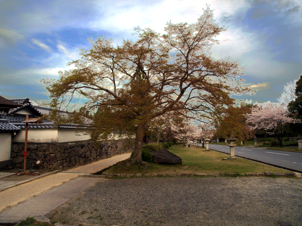 f0052269_1385551.jpg