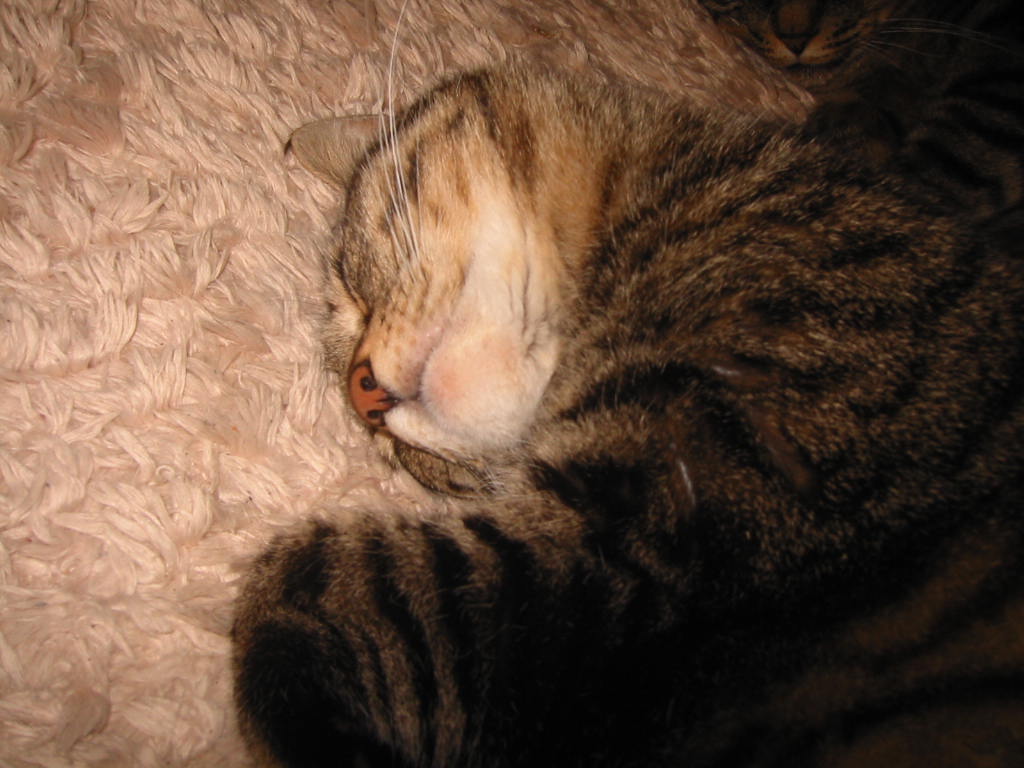 e0031572_15375933.jpg