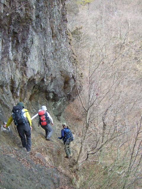 a0094280_1701772.jpg