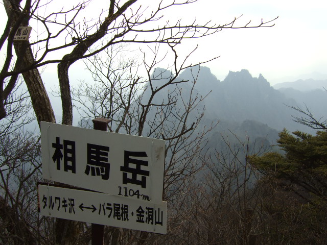 a0094280_1703934.jpg
