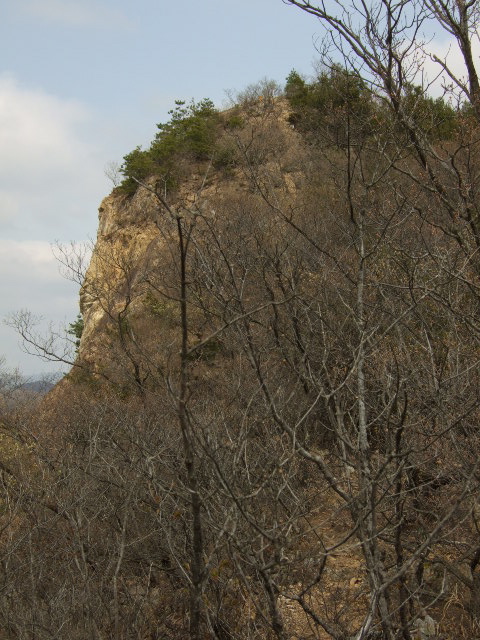 a0094280_17134767.jpg