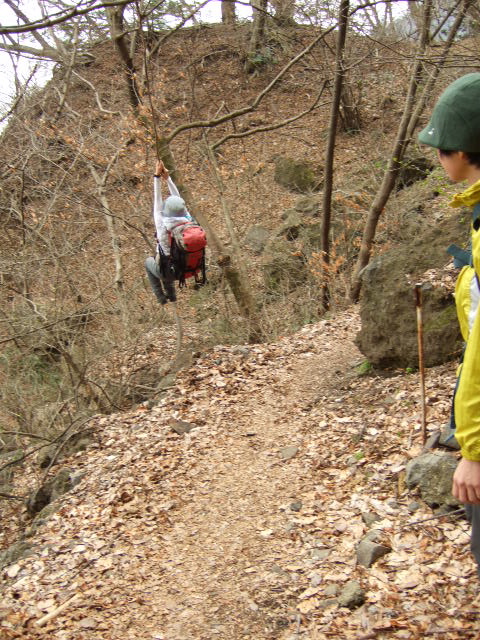 a0094280_172597.jpg