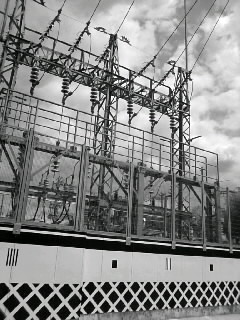 f0100480_2055843.jpg