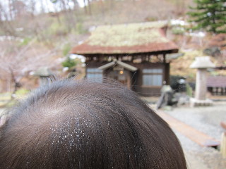 f0199081_18393782.jpg