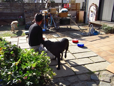 c0207890_1333267.jpg