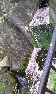c0189894_2141356.jpg