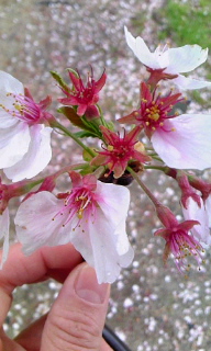 c0189894_2142317.jpg
