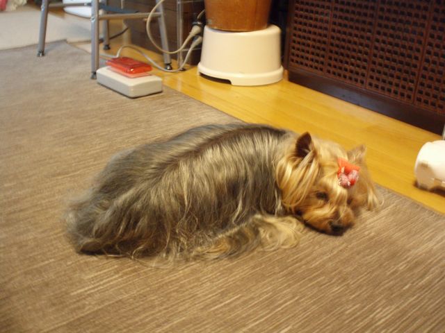 f0130894_210219.jpg