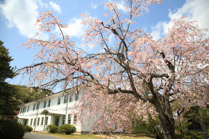 f0103797_9572717.jpg