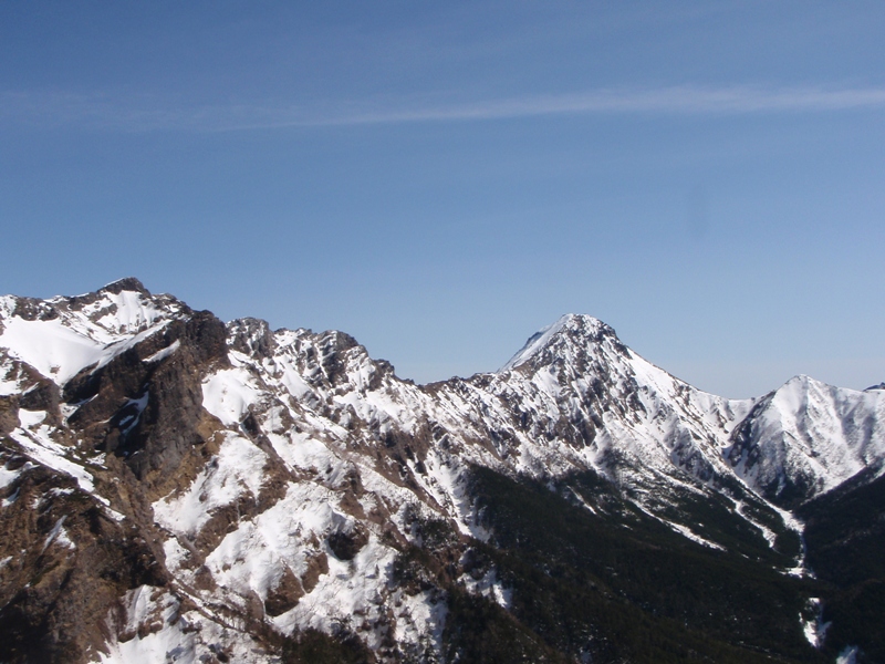 c0147398_728522.jpg