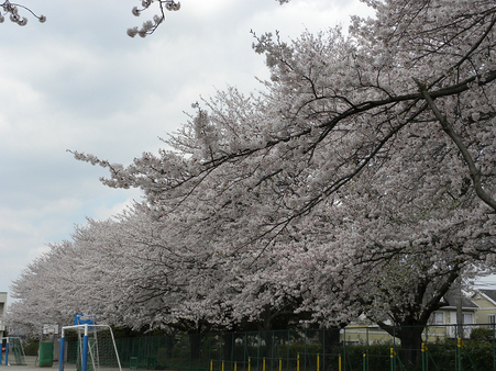 b0147203_1635069.jpg