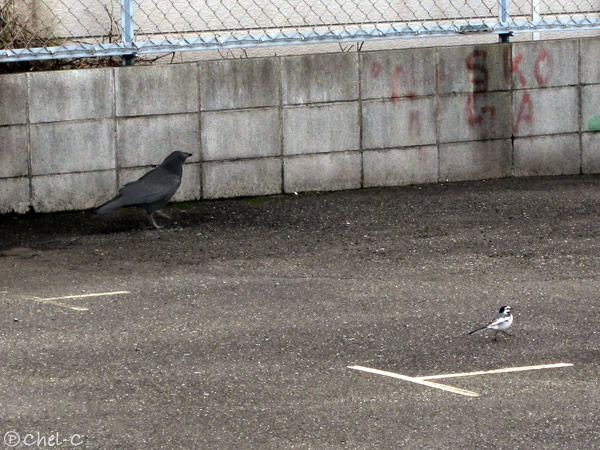 a0154706_2321163.jpg